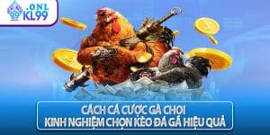 Cách Cá Cược Gà Chọi